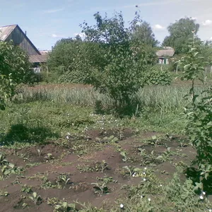 Продам  старый  дом  и 45 соток в деревне у реки в Курской области.