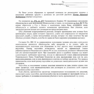 Юридическое заключение по правовым вопросам