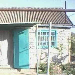 Дом продам 60 м2 (Плодовоовощной)