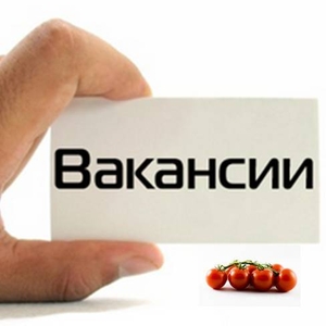 Открыта вакансия специалиста с опытом кадровой работы