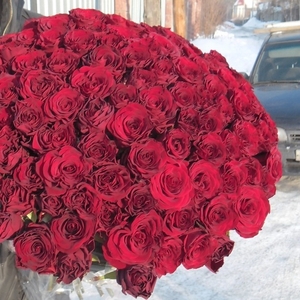 Букет 101 красная роза 50 см