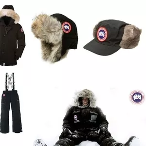 BISON. Комбинезон,  штаны,  куртка,  пуховик,  парка Canada Goose.