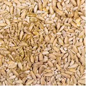 Зерно пшеницы мягкой 5 класс (фураж) имеется зерновая