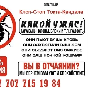 Тоқта-Қандала Клоп-Стоп