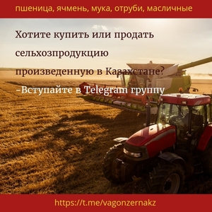 пшеница,  мука из казахстана ----  https://t.me/vagonzernakz