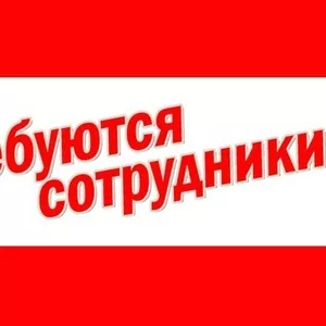 Набор сотрудников в новый отдел