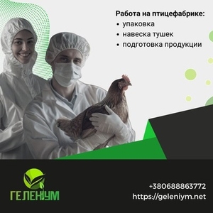 Работа за границей ! Легально,  безопасно,  с хорошей зарплатой!