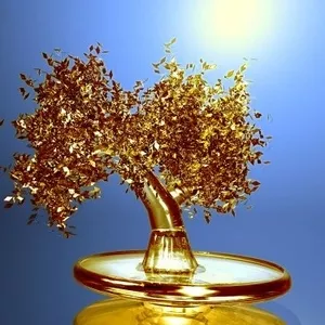 Специально запрограммированные дебетовые карты в продаже.