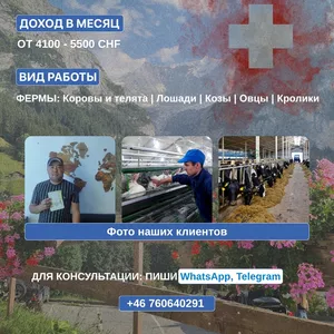 Pабота на ферме в Швейцарии