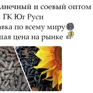 Шрот подсолнечный и соевый оптом от производителя ГК Юг Руси