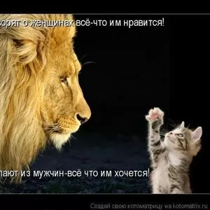 Мне нужна аренда квртиры