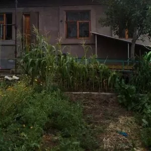 Продам дом-дачу в экологически чистом районе Таугуль-3