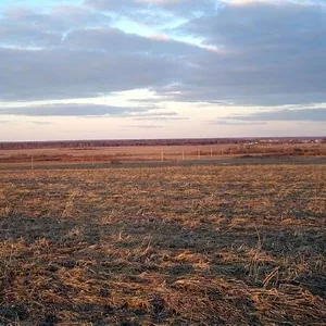 Продажа земельного участка Сельхозназначениеля 