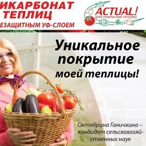 продажа сотового поликарбоната,  теплиц,  парников,  беседок,  навесов