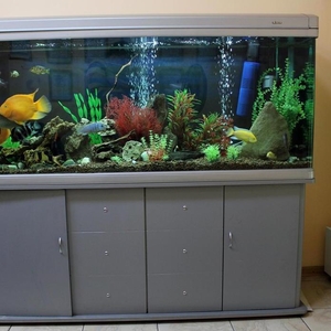Продается шикарный аквариум с рыбками