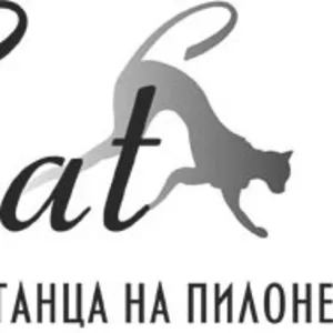 Студия танца на пилоне Cat,  pole dance studio Cat