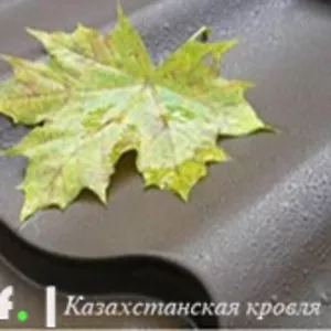 Металлочерепица в Алматы