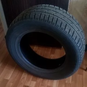 Две летние шины Pirelli R19. Низкопрофильные.