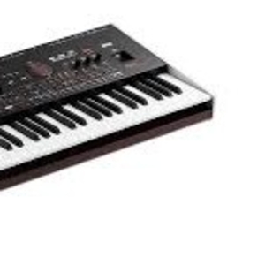 Korg Pa4X 61 клавиатура