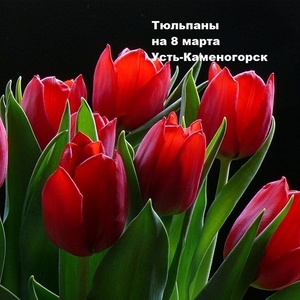 Тюльпаны на 8 марта Усть-Каменогорск