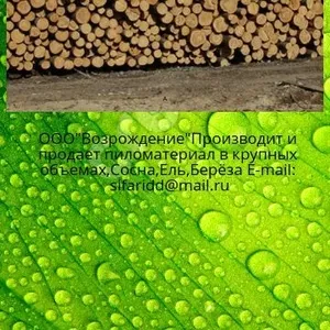 Лес с Урала России кругляк и обрезная доска широкого ассортимента