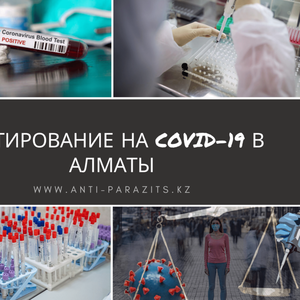 Сдать тест на короновирус в Алматы